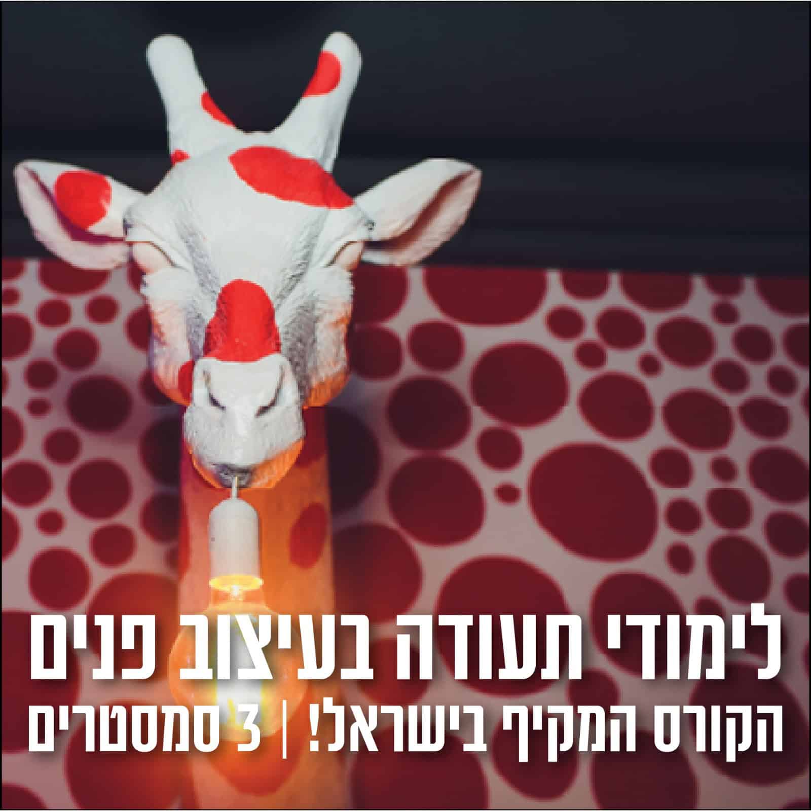 לימודי עיצוב פנים באולטימה